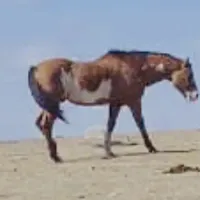 processed/7180fe3c-ad90-465c-b550-adc47a666135/facility/6317800c-7836-4e84-81c5-ac1a34226358