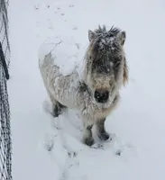 processed/7180fe3c-ad90-465c-b550-adc47a666135/facility/898e071e-20dc-439e-b86c-7535d461d562