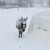 processed/7180fe3c-ad90-465c-b550-adc47a666135/facility/9d293c77-c5f3-40cd-99c9-8255ee3f22f0