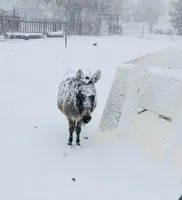 processed/7180fe3c-ad90-465c-b550-adc47a666135/facility/9d293c77-c5f3-40cd-99c9-8255ee3f22f0