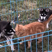 processed/7180fe3c-ad90-465c-b550-adc47a666135/facility/a036ec89-249e-4f51-b11d-05f218b1af31