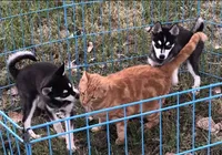 processed/7180fe3c-ad90-465c-b550-adc47a666135/facility/a036ec89-249e-4f51-b11d-05f218b1af31