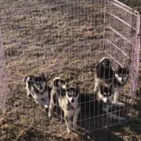 processed/7180fe3c-ad90-465c-b550-adc47a666135/facility/c46f3abe-5ff0-4934-b245-4cd0a0b388c2