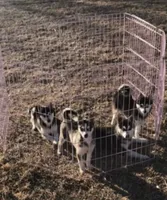 processed/7180fe3c-ad90-465c-b550-adc47a666135/facility/c46f3abe-5ff0-4934-b245-4cd0a0b388c2