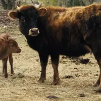 processed/7180fe3c-ad90-465c-b550-adc47a666135/facility/d21e28de-4895-4311-9e29-db567ef53efb