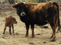 processed/7180fe3c-ad90-465c-b550-adc47a666135/facility/d21e28de-4895-4311-9e29-db567ef53efb