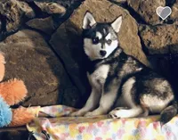 processed/7180fe3c-ad90-465c-b550-adc47a666135/listing/46d24405-0342-4074-aec3-bc1134544ebb/317c7efe-89bb-4a34-afcf-95f0f26213a3