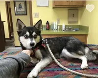 processed/7180fe3c-ad90-465c-b550-adc47a666135/listing/46d24405-0342-4074-aec3-bc1134544ebb/34a6cf42-22df-4b82-8227-aa276ea1ec8f