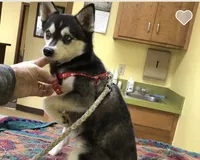 processed/7180fe3c-ad90-465c-b550-adc47a666135/listing/46d24405-0342-4074-aec3-bc1134544ebb/af14bd27-e747-4107-86da-ab2d276e40d0