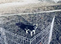 processed/7180fe3c-ad90-465c-b550-adc47a666135/listing/46d24405-0342-4074-aec3-bc1134544ebb/df88db46-76f8-4fc2-bc9e-6486d5cb5093