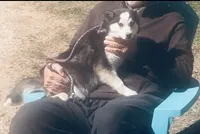 processed/7180fe3c-ad90-465c-b550-adc47a666135/listing/52848443-f778-4568-a354-54d8b1dabb5d/4731539b-0c7e-48c0-8cd3-170b1b28f99f