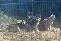 processed/7180fe3c-ad90-465c-b550-adc47a666135/listing/52848443-f778-4568-a354-54d8b1dabb5d/5bb474b2-7386-4a8c-b111-6c21a268f86f