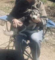 processed/7180fe3c-ad90-465c-b550-adc47a666135/listing/52848443-f778-4568-a354-54d8b1dabb5d/ab93acf9-839a-4b1c-930b-78d2f254fe56