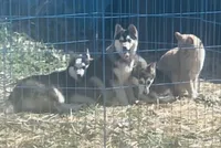 processed/7180fe3c-ad90-465c-b550-adc47a666135/listing/52848443-f778-4568-a354-54d8b1dabb5d/afefc745-1c83-4de3-8f12-fafd46659968