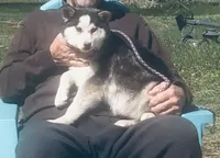 processed/7180fe3c-ad90-465c-b550-adc47a666135/listing/52848443-f778-4568-a354-54d8b1dabb5d/ed1b1f0f-d9bd-4036-8091-b661a8f51d4d