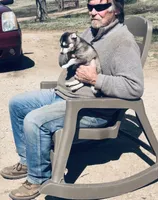 Blue Eyed Grace, a female Alaskan Klee Kai for sale in Salina, KS – Photo 6 of 7
