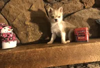 processed/7180fe3c-ad90-465c-b550-adc47a666135/listing/6962c522-d8f7-41ef-ac07-b6560f82436e/3b1dfa53-1f52-4c21-9ce7-665cce36c36a