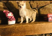 processed/7180fe3c-ad90-465c-b550-adc47a666135/listing/6962c522-d8f7-41ef-ac07-b6560f82436e/84c0c612-a404-4376-bc35-ad0a3013b5f4