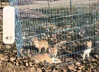 processed/7180fe3c-ad90-465c-b550-adc47a666135/listing/6962c522-d8f7-41ef-ac07-b6560f82436e/85fc751d-1580-4dd3-b026-807beeac53ea