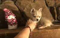 processed/7180fe3c-ad90-465c-b550-adc47a666135/listing/6962c522-d8f7-41ef-ac07-b6560f82436e/b95ace68-32c1-400a-a5f6-5808caa457b1