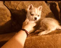 processed/7180fe3c-ad90-465c-b550-adc47a666135/listing/6962c522-d8f7-41ef-ac07-b6560f82436e/fee6bd24-3aac-42f0-9b37-9549586baed1