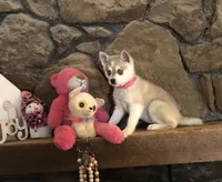 processed/7180fe3c-ad90-465c-b550-adc47a666135/listing/7e49d87e-41a3-49e5-9164-38c5de4fa6c9/05eb79a6-ae98-4bc4-b114-fac1a2c5014a