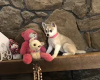 processed/7180fe3c-ad90-465c-b550-adc47a666135/listing/7e49d87e-41a3-49e5-9164-38c5de4fa6c9/cfc87462-6a84-4918-a09b-f50e663dedff