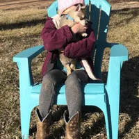 Blue Vespar, a male Alaskan Klee Kai for sale in Salina, KS – Photo 3 of 9