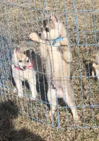 processed/7180fe3c-ad90-465c-b550-adc47a666135/listing/cd56343e-21a5-40fd-943d-49348bde22fe/d9cc9a48-d331-4e43-86b1-440435516814