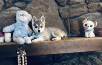 processed/7180fe3c-ad90-465c-b550-adc47a666135/listing/cd56343e-21a5-40fd-943d-49348bde22fe/f80697be-5532-4bf4-adc1-f5d351115412