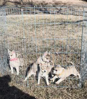 processed/7180fe3c-ad90-465c-b550-adc47a666135/listing/e740c7ea-e255-4b08-b100-21ece1e0ee39/1afae510-d1fa-4604-b330-e209dca8f2ed