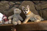 processed/7180fe3c-ad90-465c-b550-adc47a666135/listing/e740c7ea-e255-4b08-b100-21ece1e0ee39/74aa5bff-2aac-42d8-9329-0e0101807396