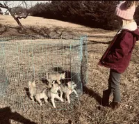 processed/7180fe3c-ad90-465c-b550-adc47a666135/listing/e740c7ea-e255-4b08-b100-21ece1e0ee39/91b4697b-2559-4364-aaff-c47229f21040