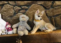 processed/7180fe3c-ad90-465c-b550-adc47a666135/listing/e740c7ea-e255-4b08-b100-21ece1e0ee39/d33ad648-2041-4ef0-b505-280a60824b43