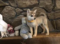 processed/7180fe3c-ad90-465c-b550-adc47a666135/listing/e740c7ea-e255-4b08-b100-21ece1e0ee39/d915c7e2-fa0c-431f-8364-1a4946375d94