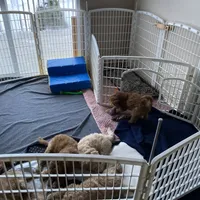 processed/7193ce7d-8c0c-4745-a798-06870f713239/facility/117051d4-116e-40fd-a463-ba778a89cae3