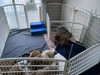 processed/7193ce7d-8c0c-4745-a798-06870f713239/facility/117051d4-116e-40fd-a463-ba778a89cae3