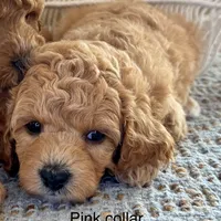 processed/7193ce7d-8c0c-4745-a798-06870f713239/facility/3f280d91-fedf-47f5-aaac-6f45f10ce4e0