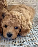 processed/7193ce7d-8c0c-4745-a798-06870f713239/facility/3f280d91-fedf-47f5-aaac-6f45f10ce4e0