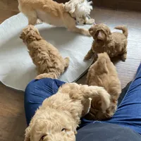 processed/7193ce7d-8c0c-4745-a798-06870f713239/facility/5e6e1c18-1aa1-440e-8b75-69b347c4ee06