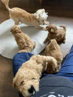 processed/7193ce7d-8c0c-4745-a798-06870f713239/facility/5e6e1c18-1aa1-440e-8b75-69b347c4ee06