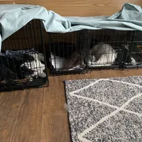 processed/7193ce7d-8c0c-4745-a798-06870f713239/facility/7d0a18ec-bdc5-411e-a57f-3c29d377b2ce