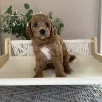 processed/7193ce7d-8c0c-4745-a798-06870f713239/facility/9824d3bb-24e5-4ab3-8448-5a1c80032b7f