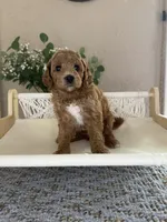 processed/7193ce7d-8c0c-4745-a798-06870f713239/facility/9824d3bb-24e5-4ab3-8448-5a1c80032b7f