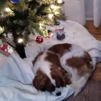 processed/7193ce7d-8c0c-4745-a798-06870f713239/facility/b67b6e4e-ecf7-41fd-bb77-654ecdf8a15b