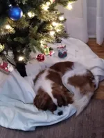 processed/7193ce7d-8c0c-4745-a798-06870f713239/facility/b67b6e4e-ecf7-41fd-bb77-654ecdf8a15b