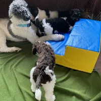 processed/7193ce7d-8c0c-4745-a798-06870f713239/facility/bdc8455d-7685-4801-887d-73d0f2c13a7d