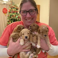 processed/7193ce7d-8c0c-4745-a798-06870f713239/facility/c9b331df-edd6-4066-a05c-be522ca5e393