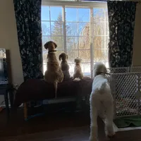 processed/7193ce7d-8c0c-4745-a798-06870f713239/facility/dac6daf3-b2df-44e9-a72b-e775cfe64614