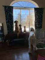 processed/7193ce7d-8c0c-4745-a798-06870f713239/facility/dac6daf3-b2df-44e9-a72b-e775cfe64614